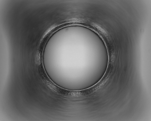 X0000116601310200912181138