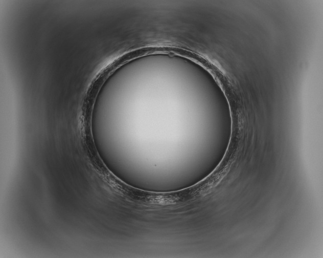 X0000116601311200912181138