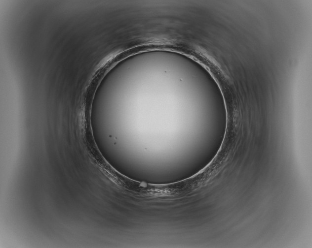 X0000116601315200912181138