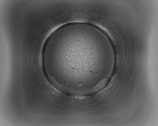 X0000116601319200912181138
