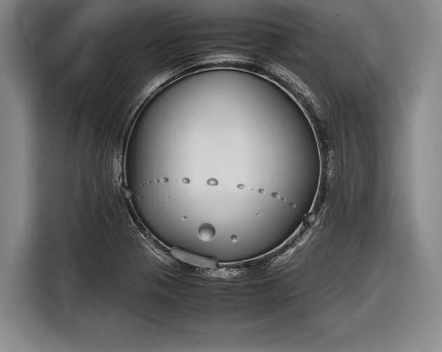 X0000116601321200912181138