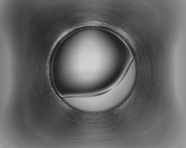 X0000116601326200912181138