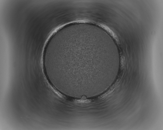 X0000116601327200912181138