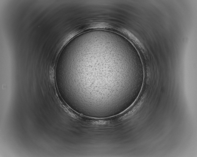 X0000116601329200912181138