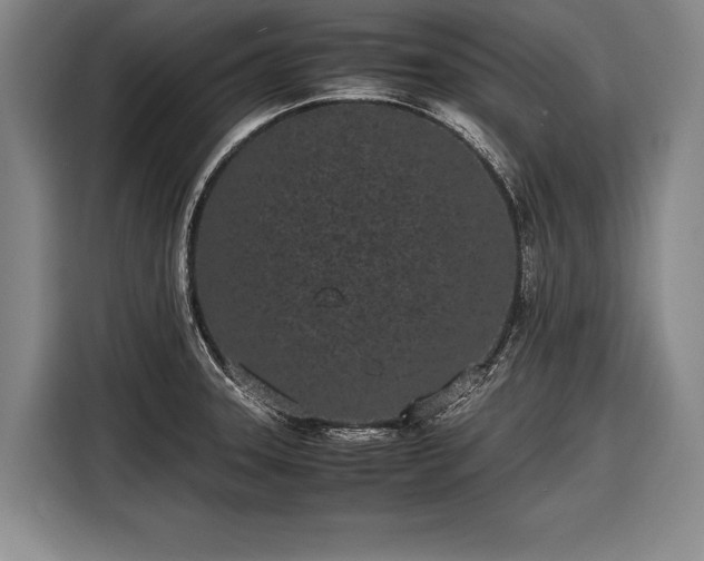 X0000116601331200912181138