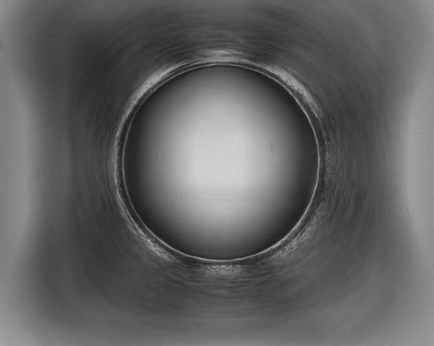 X0000116601333200912181138