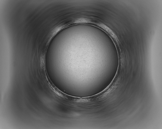 X0000116601337200912181138