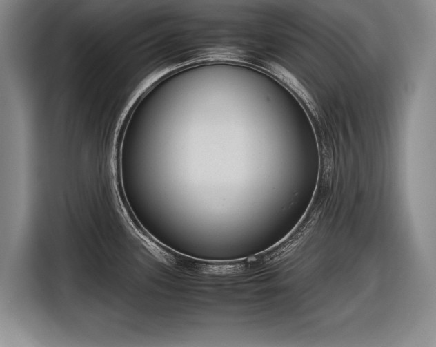 X0000116601339200912181138