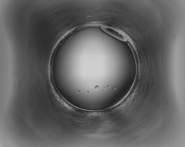 X0000116601341200912181138