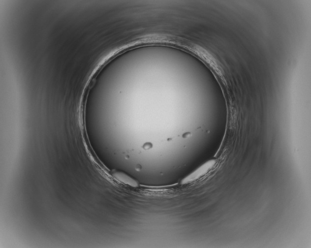 X0000116601342200912181138