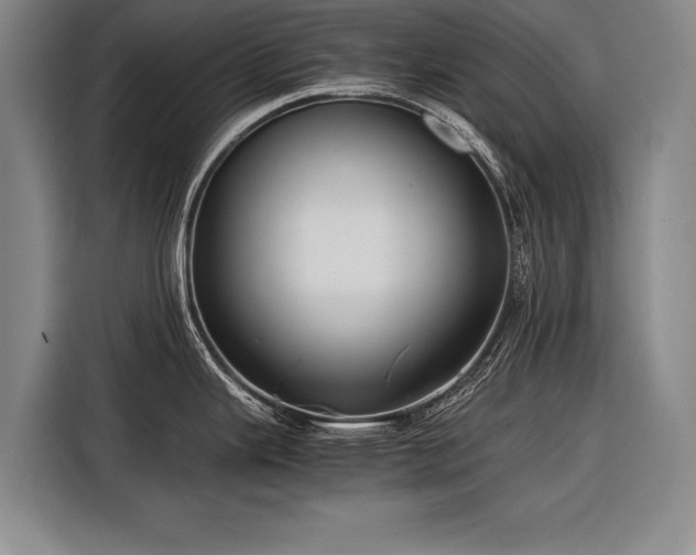 X0000116601343200912181138