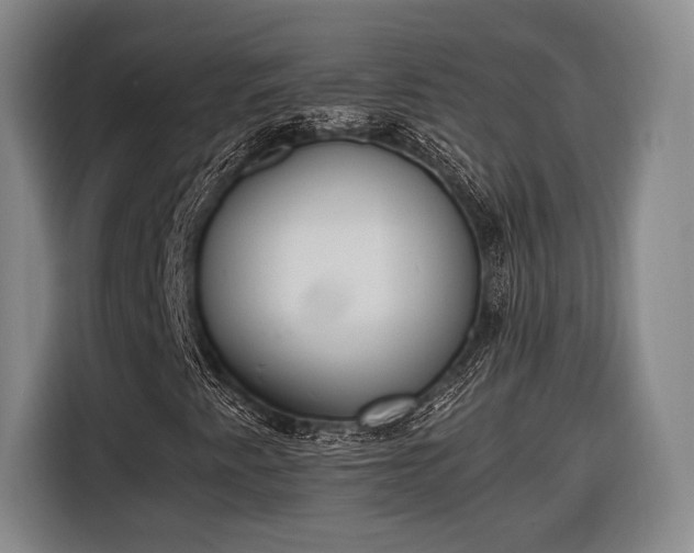 X0000116601345200912181138