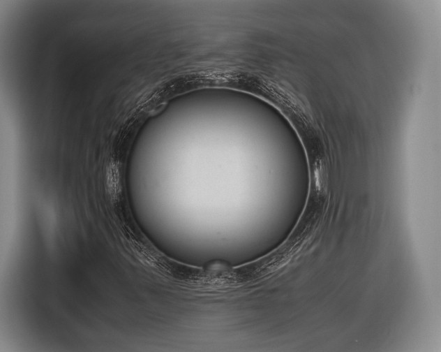 X0000116601347200912181138