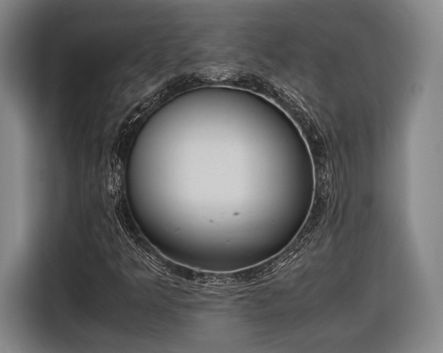 X0000116601349200912181138