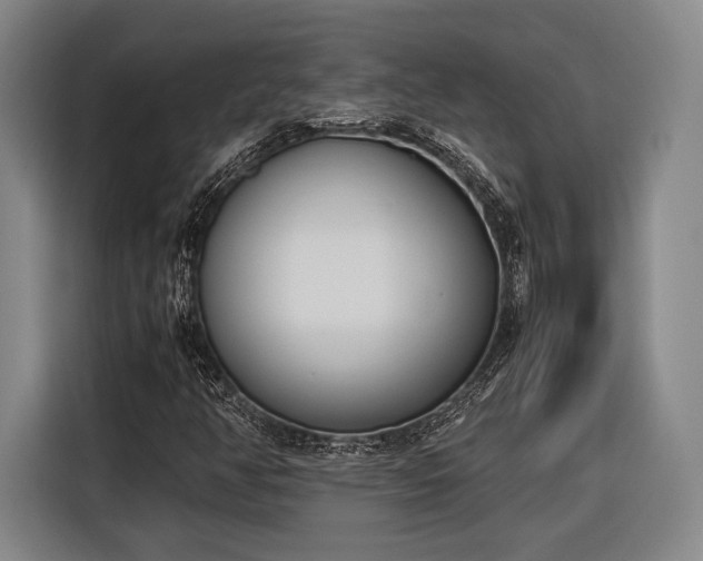 X0000116601350200912181138