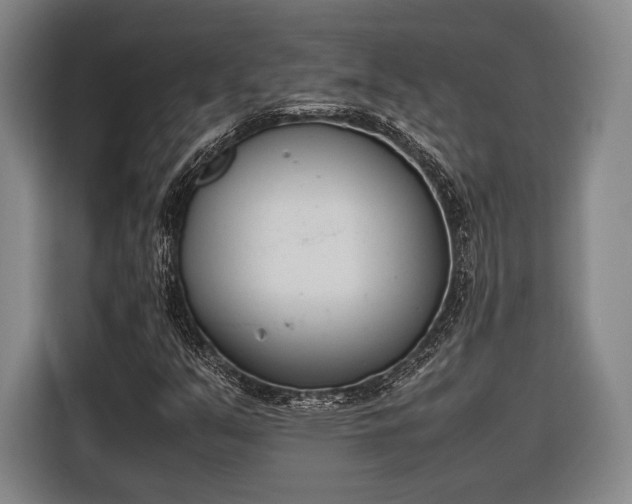 X0000116601351200912181138