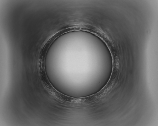 X0000116601352200912181138