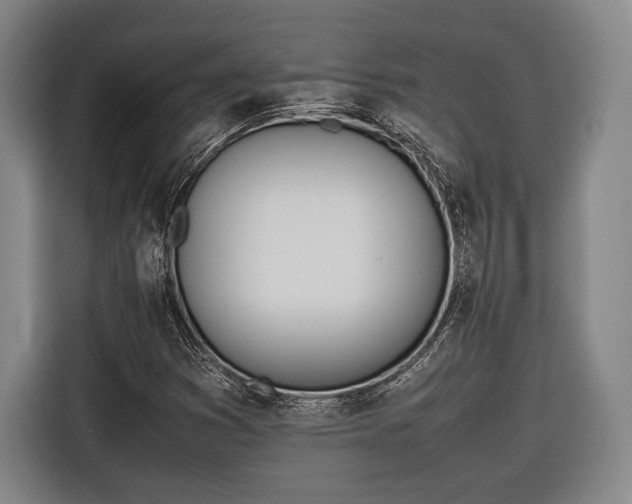 X0000116601353200912181138