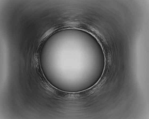 X0000116601354200912181138