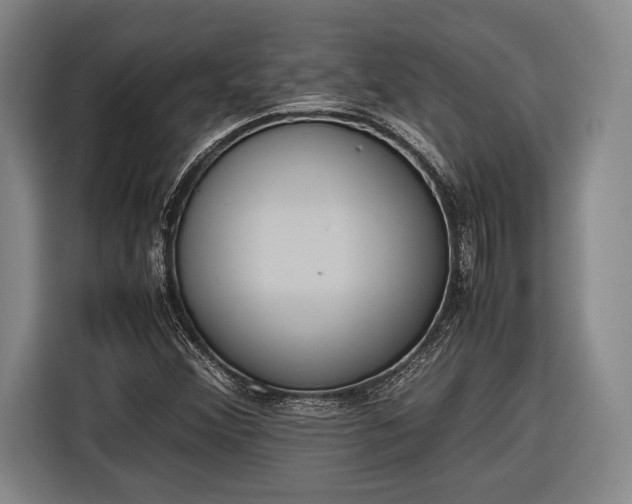 X0000116601356200912181138