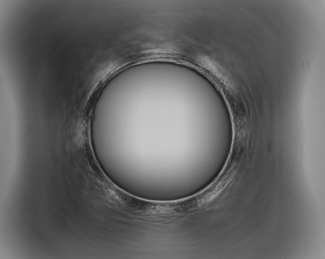 X0000116601357200912181138