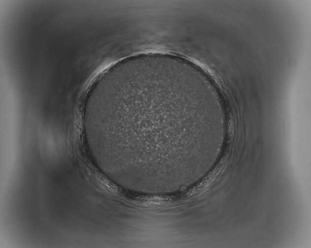 X0000116601359200912181138