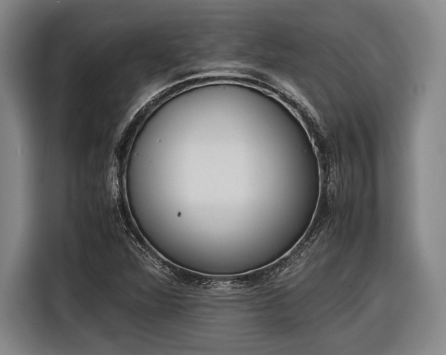 X0000116601360200912181138