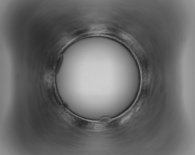 X0000116601361200912181138
