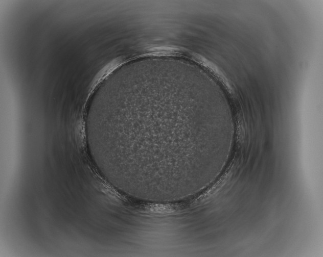X0000116601362200912181138