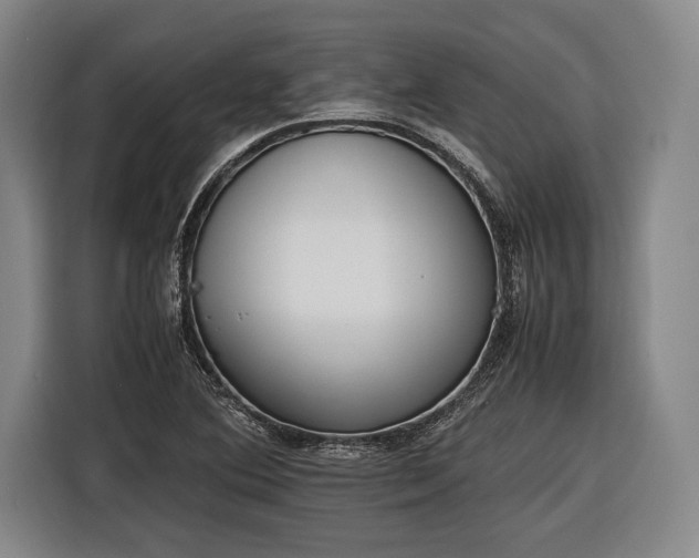 X0000116601364200912181137
