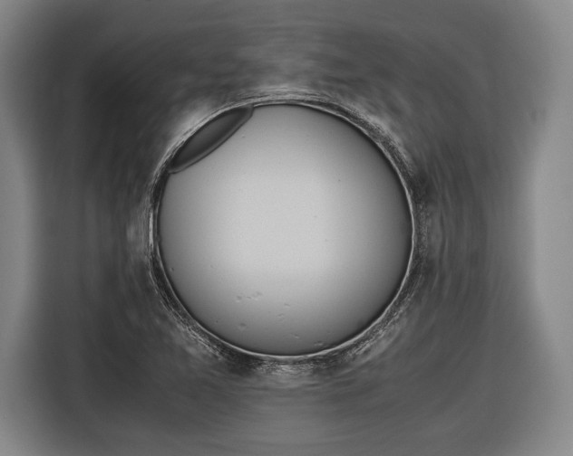 X0000116601365200912181137