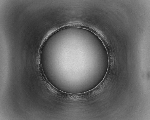X0000116601366200912181137
