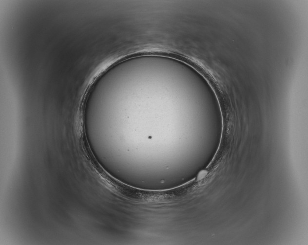 X0000116601367200912181137