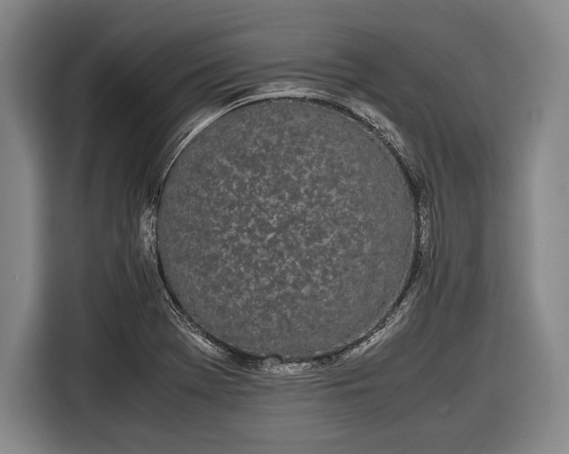 X0000116601369200912181137