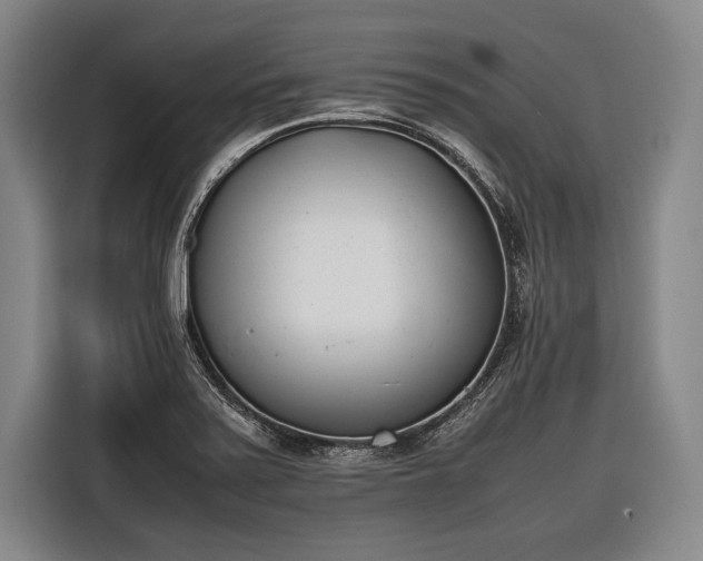 X0000116601371200912181137
