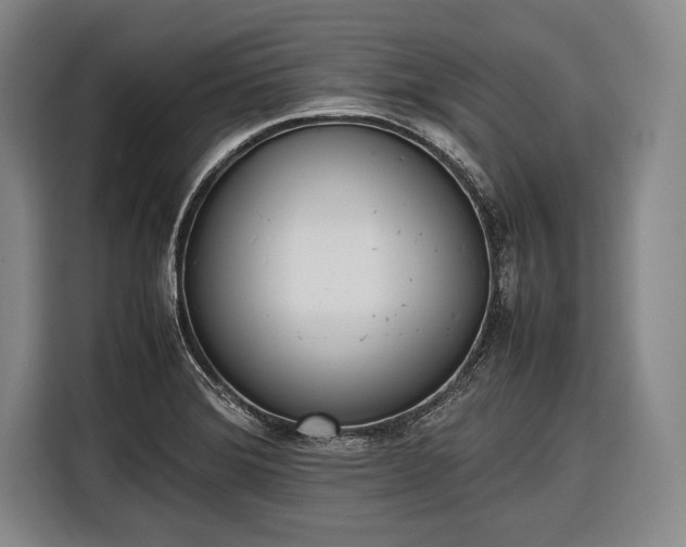 X0000116601372200912181137