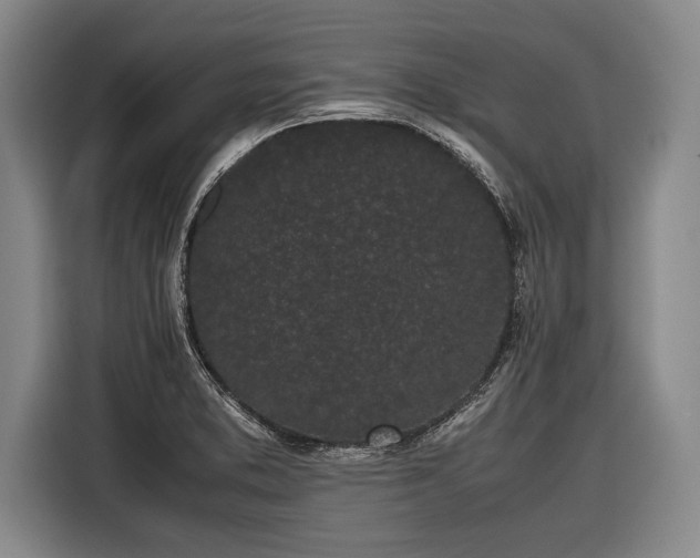 X0000116601373200912181137