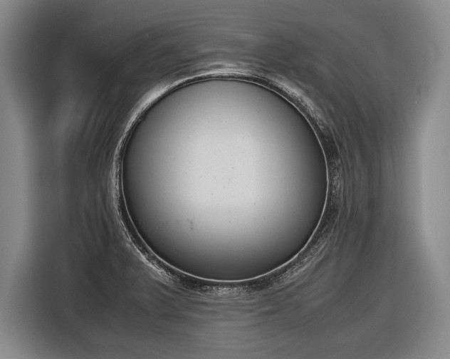 X0000116601375200912181137