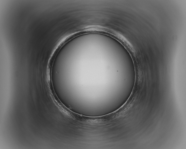 X0000116601376200912181137