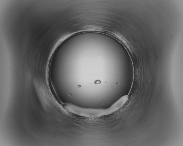 X0000116601379200912181137