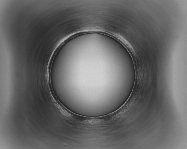 X0000116601380200912181137