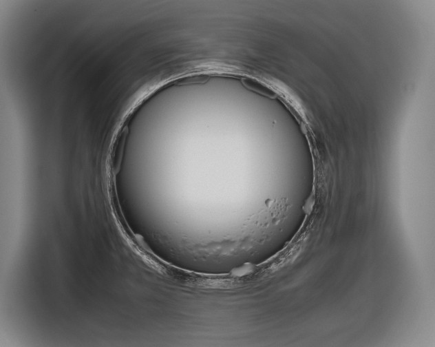 X0000116601381200912181137