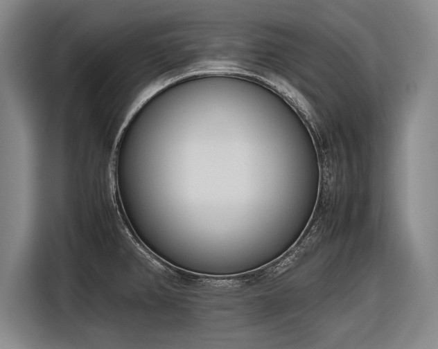 X0000116601382200912181137