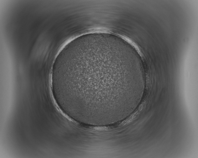 X0000116601383200912181137