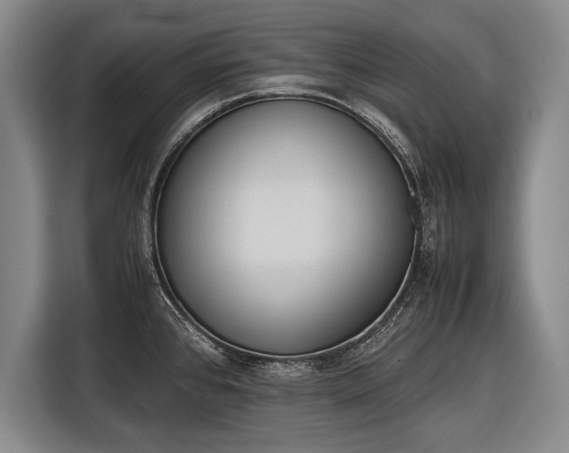 X0000116601384200912181137