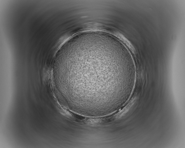 X0000116601385200912181137