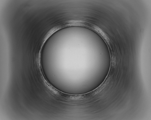 X0000116601386200912181137