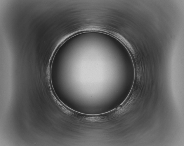 X0000116601388200912181137