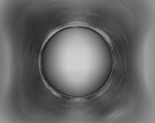 X0000116601390200912181137