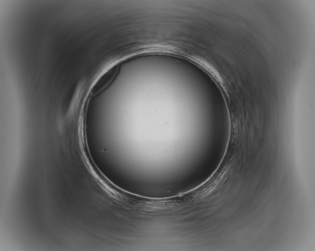 X0000116601391200912181137